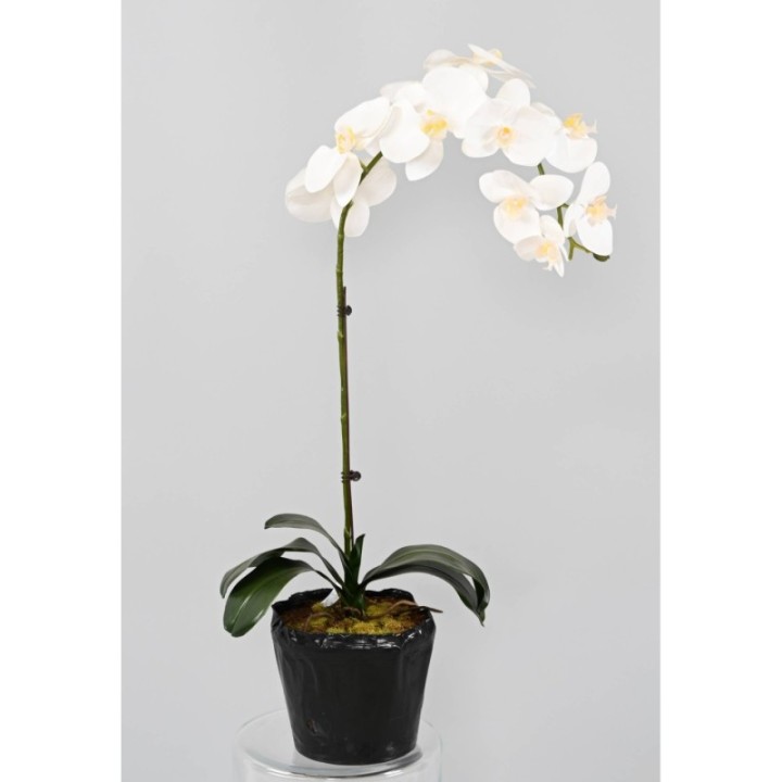 Künstliche Phalaenopsis Orchidee, ca 60cm, weiss