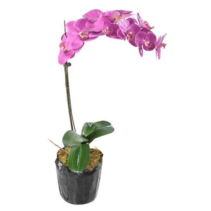Künstliche Phalaenopsis Orchidee, ca 60cm, fuchsia