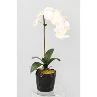Künstliche Phalaenopsis Orchidee, ca 85cm, weiss