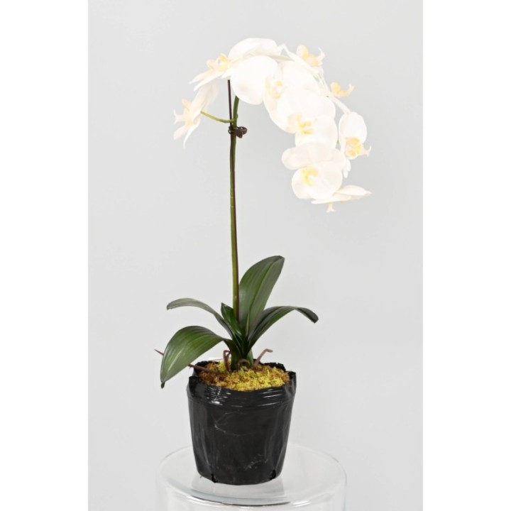 Künstliche Phalaenopsis Orchidee, ca 85cm, weiss