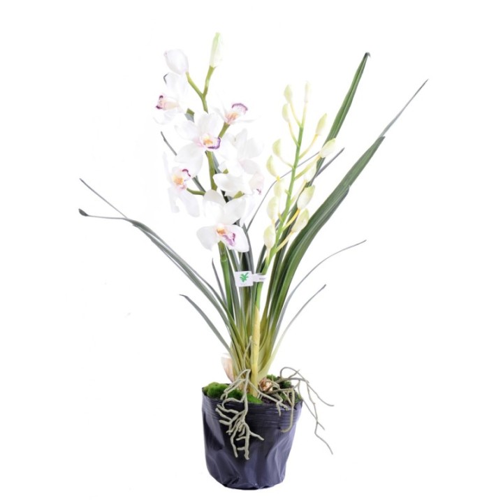 Künstlicher Cymbidium, ca 80cm, weiss
