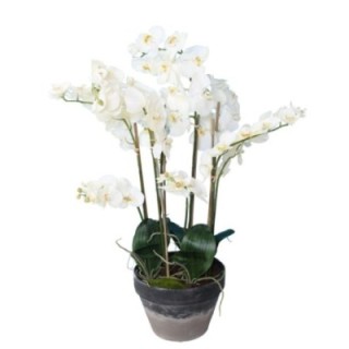 Künstliche Phalaenopsis Orchidee, ca 105cm, weiss