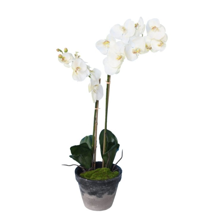Künstliche Phalaenopsis Orchidee, ca 85cm, weiss