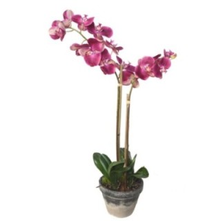 Künstliche Phalaenopsis Orchidee, ca 85cm, pink