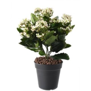 Künstliche Kalanchoe, 25cm, hellrosa