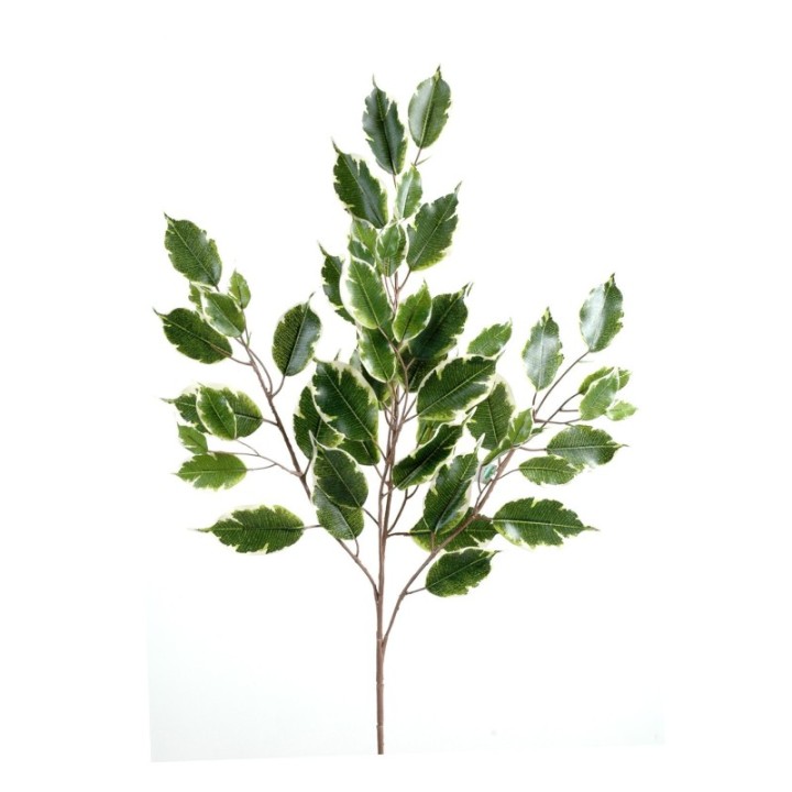 Künstlicher Ficus Zweig, ca 76cm, grün
