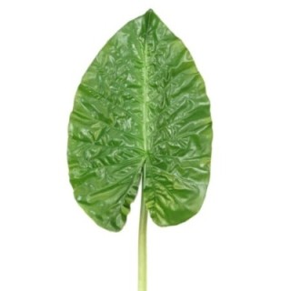 Künstlicher Alocasia Blattzweig, ca 76cm, grün