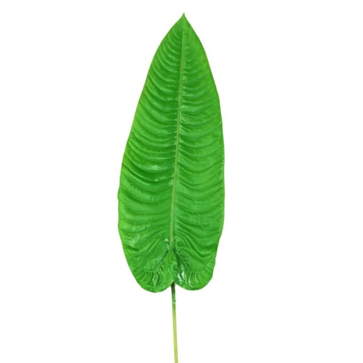Künstlicher Alocasia Blattzweig, ca 126cm, grün