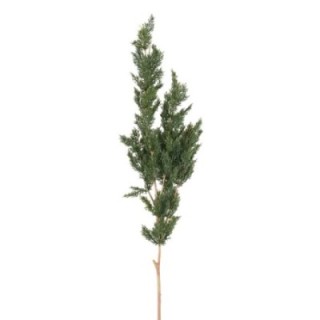 Künstlicher Thuja Zweig, ca 120cm, grün