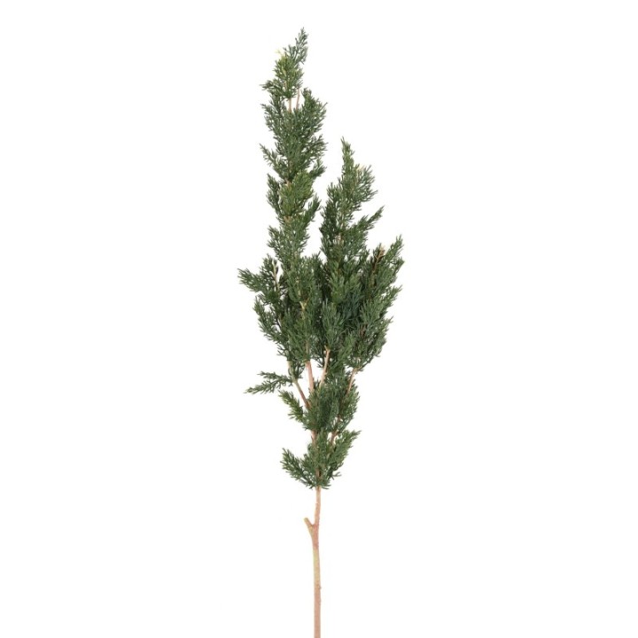 Künstlicher Thuja Zweig, ca 120cm, grün