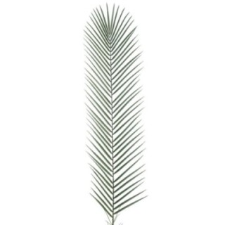 Künstlicher Phoenix Palmzweig, ca 135cm, grün