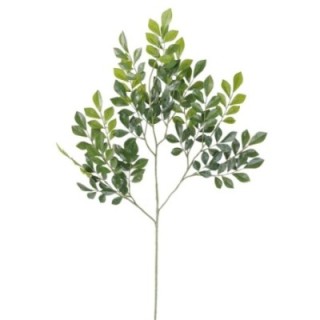 Künstlicher Murraye Zweig, ca 70cm, grün