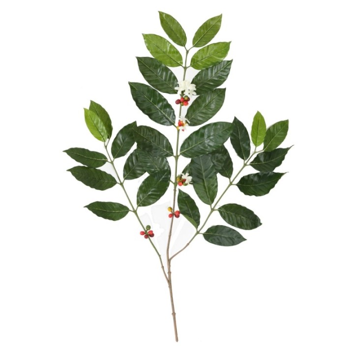 Künstlicher Kaffeebaum Zweig, ca 80cm, grün