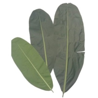 Künstlicher Bananenbaum Blattzweig, ca 115cm, grün