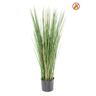 Künstliches Honig Gras, 80cm, Schwer entflammbar B1/RF2