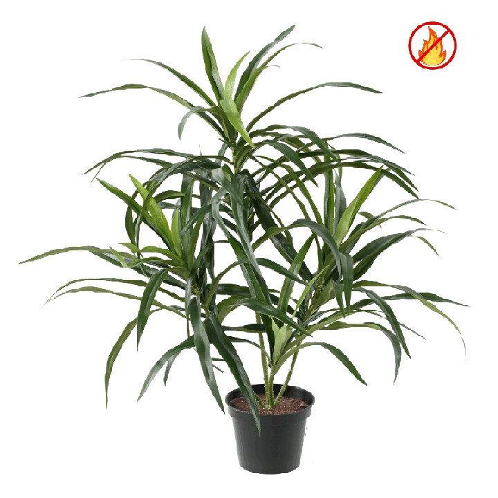 Künstliche Dracaena Anita, ca. 45cm, Schwer entflammbar nach B1/RF2