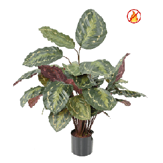 Künstliche Calathea, ca. 70cm - Schwer entflammbar nach B1/RF2