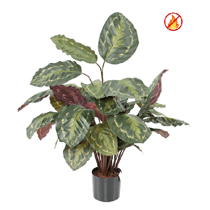 Künstliche Calathea, ca. 70cm - Schwer entflammbar nach B1/RF2