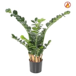 Künstliche Zamia, ca. 90cm, Schwer entflammbar nach B1/RF2