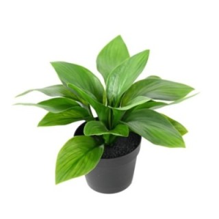 Künstliche Hosta: UV-beständige Deko für Ihr Zuhause