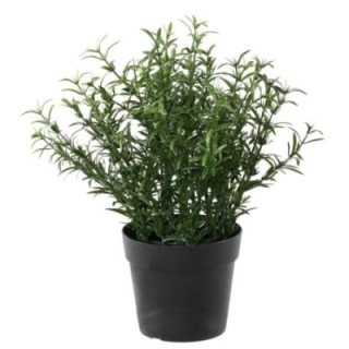 Künstlicher Rosmarin, UV-beständig, 24cm hoch, grün