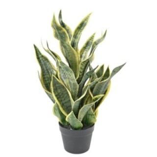 Künstliche Sansevieria Masoniana, 66cm hoch, grün