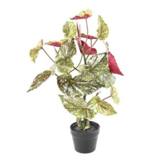 Künstliche Begonie: Pflegeleichte Deko für Ihr Zuhause