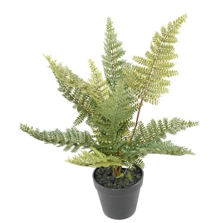 Künstlicher Farn Nephrolepis, 45cm hoch, grün