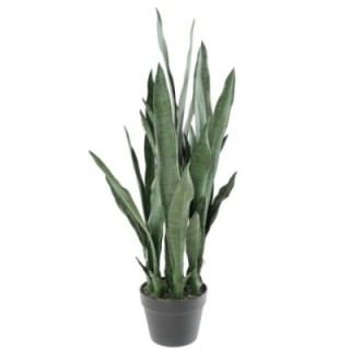 Künstliche Sansevieria, 85cm hoch, pflegeleicht & grün