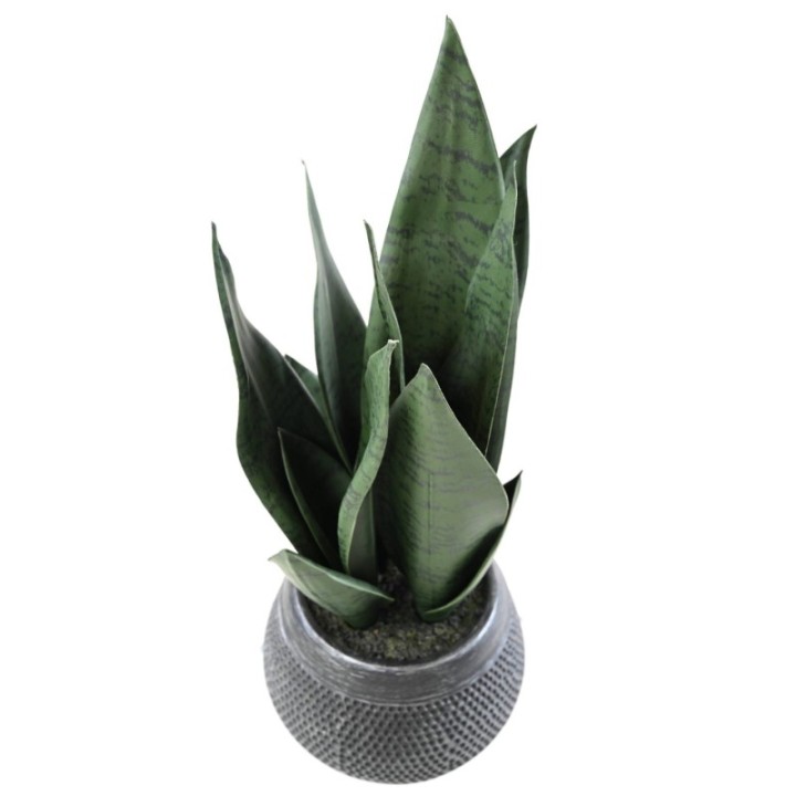 Künstliche Sansevieria, 49cm hoch, pflegeleicht, grün