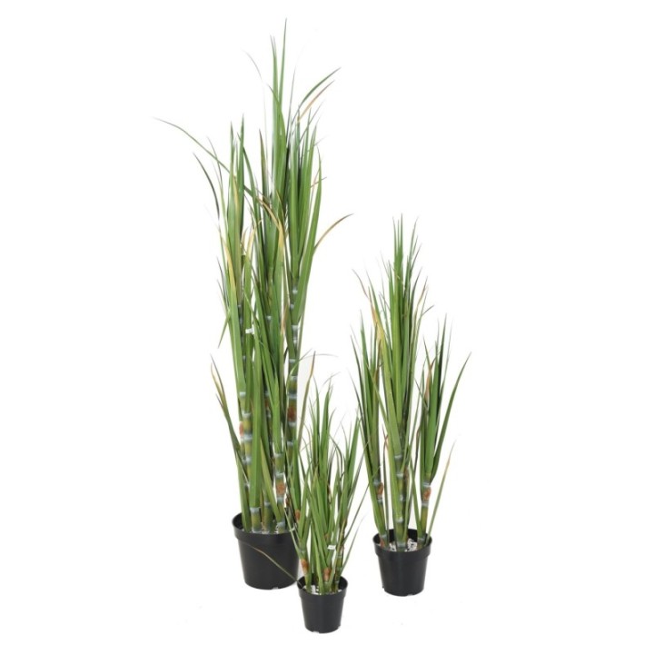 Künstlicher Zuckerschilf, 120cm hoch, pflegeleicht