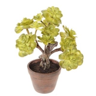 Künstlicher Sukkulent, 35cm hoch, pflegeleicht, grün