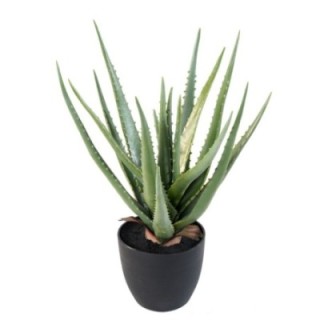 Künstliche Aloe Vera, 48cm hoch, pflegeleicht und grün