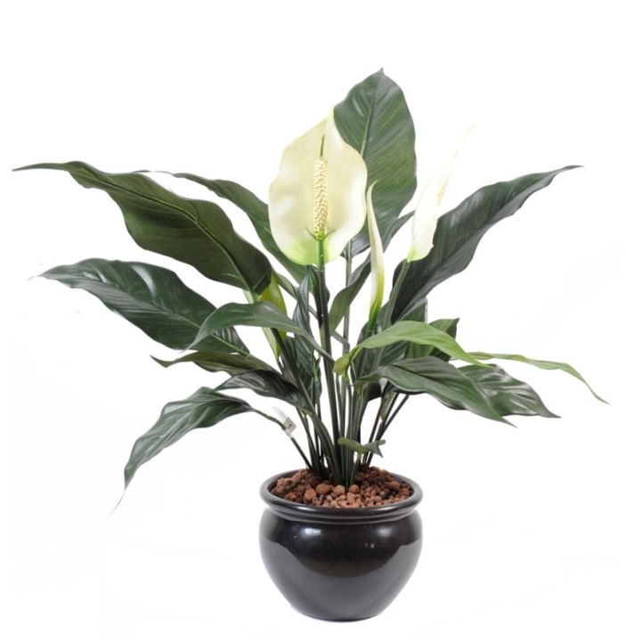 Künstlicher Spathiphyllum: Pflegeleichte Blütenpracht