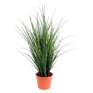 Künstlicher Grass Fine Pot, 60cm hoch, grün