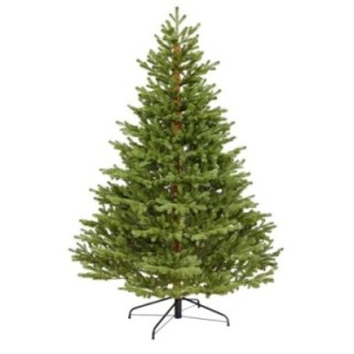 Premium Spritzguss Nordmanntanne, ca. 210cm
