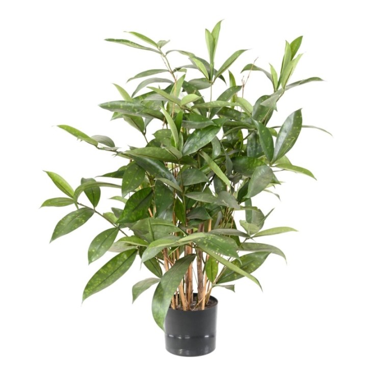 Künstliche Dracaena Surculosa, 60cm hoch, grün