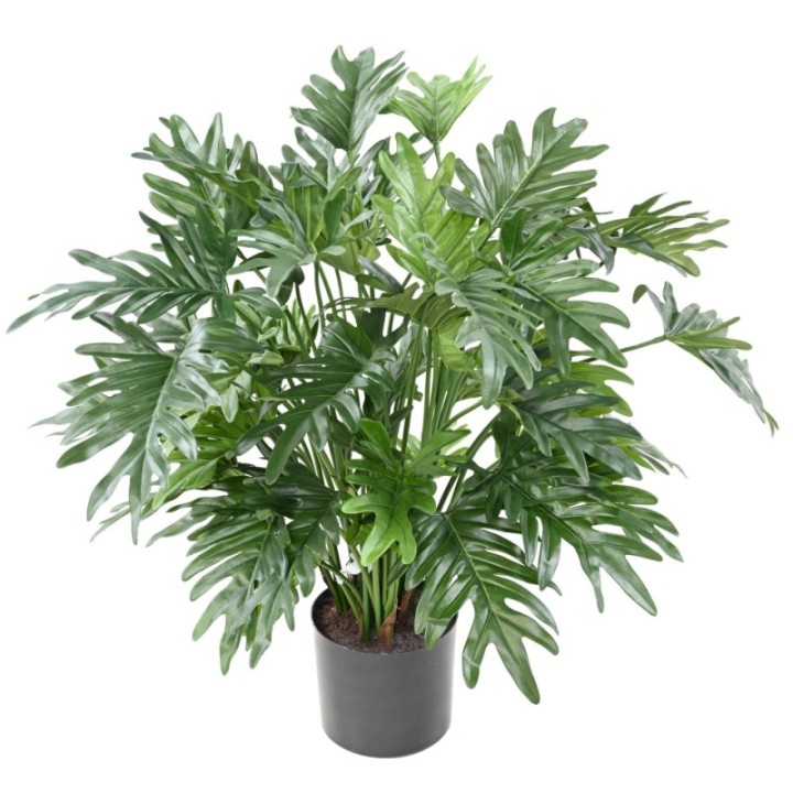 Künstlicher Philodendron Selloum, 75cm hoch, grün