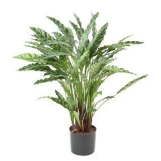 Künstliche Calathea: Pflegeleichte Deko-Pflanze 90cm