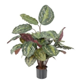 Künstliche Calathea: Farbige Eleganz für Ihr Zuhause