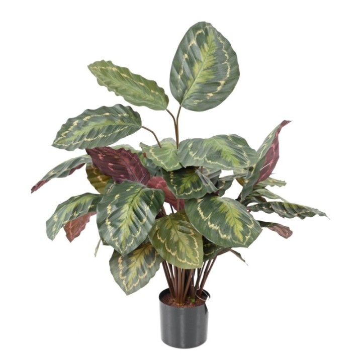 Künstliche Calathea: Farbige Eleganz für Ihr Zuhause