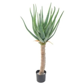Künstliche Aloe Vera, ca. 125cm hoch, pflegeleicht