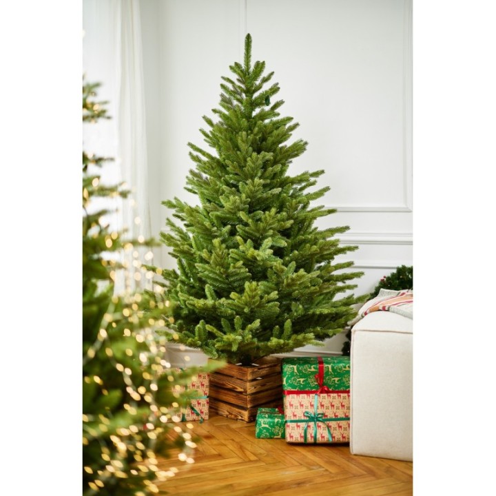 Premium Spritzguss Nordmanntanne, ca. 210cm