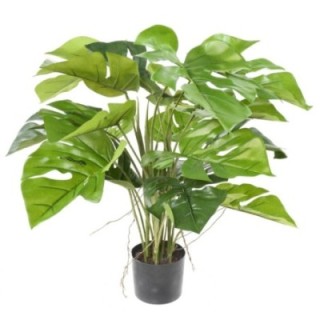 Künstlicher Philodendron, 60cm hoch, grün - Pflegeleicht!