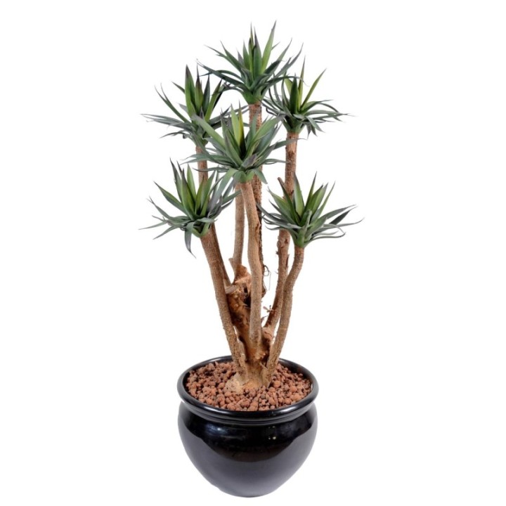 Künstliche Agave: Pflegeleichte Deko für Ihr Zuhause