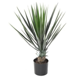 Künstliche Yucca, 60cm hoch, pflegeleicht und grün