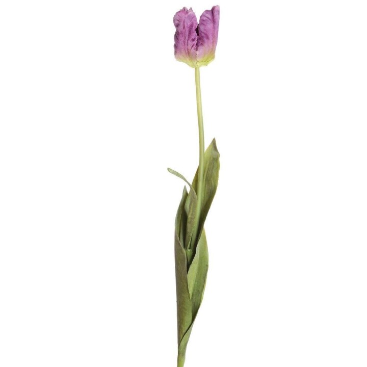 Künstliche Papageientulpe, lila, ca. 70cm hoch