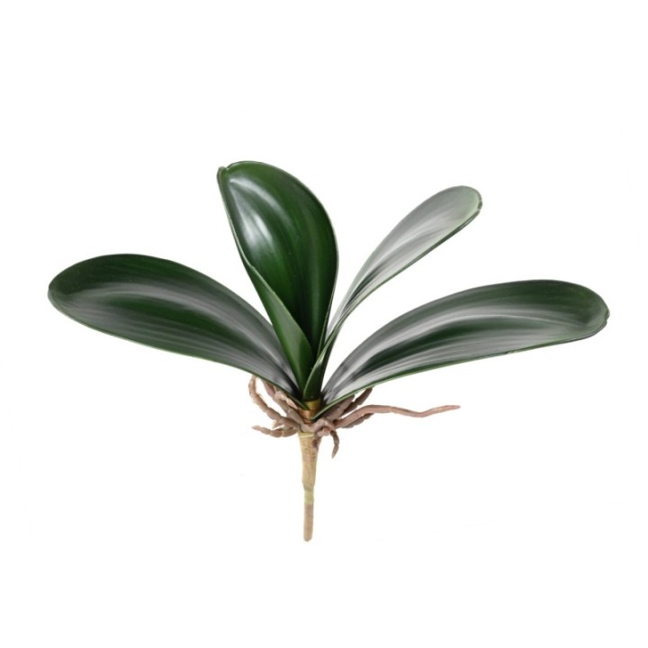 Künstlicher Phalaenopsis Blattzweig, ca 25cm, grün