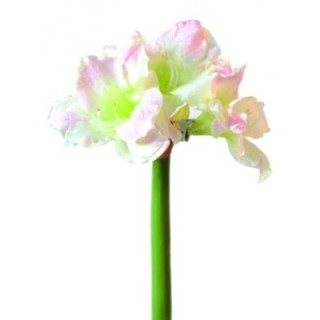 Künstliche Amaryllis, weiß-rosa, ca. 70cm hoch