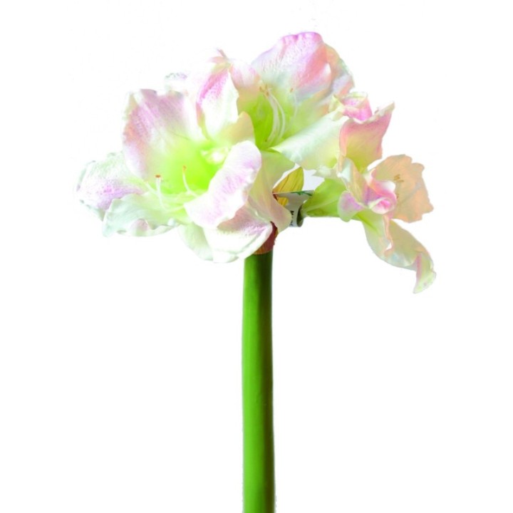 Künstliche Amaryllis, weiß-rosa, ca. 70cm hoch